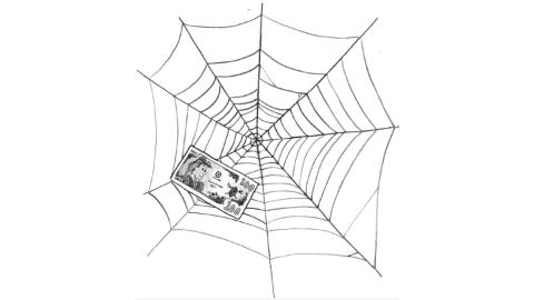Spider Web cover image